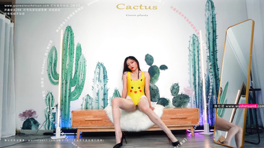 熱舞派 瑤瑤VIP版 漏毛露點艷舞 多角度完整加密破解 4k合集 (24)